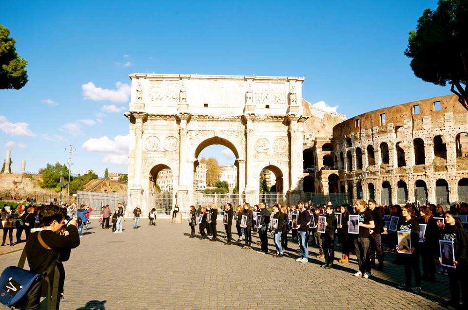 JIDA 2014 – ROME – Pour les droits fondamentaux des animaux