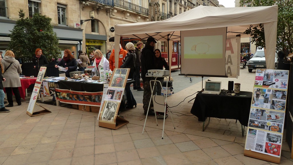 JIDA 2014 – BORDEAUX – Pour les droits fondamentaux des animaux