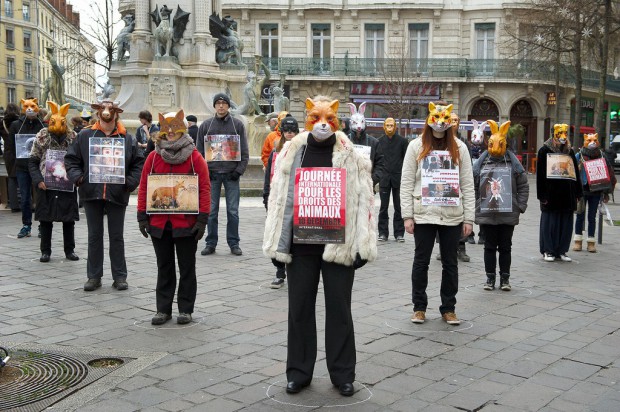 International Campaigns grenoble contre la fourrure