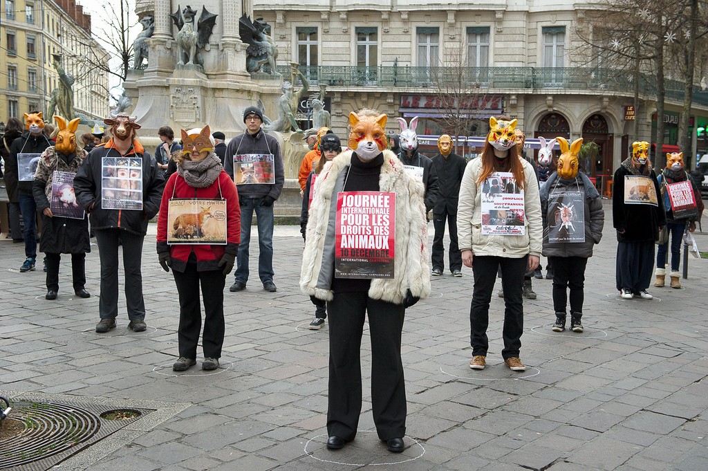 JIDA 2014 – GRENOBLE – Pour les droits fondamentaux des animaux