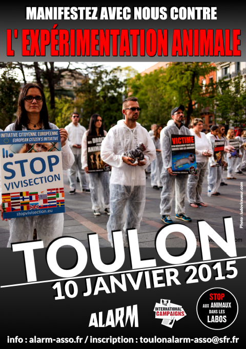 Happening à Toulon contre l’expérimentation animale