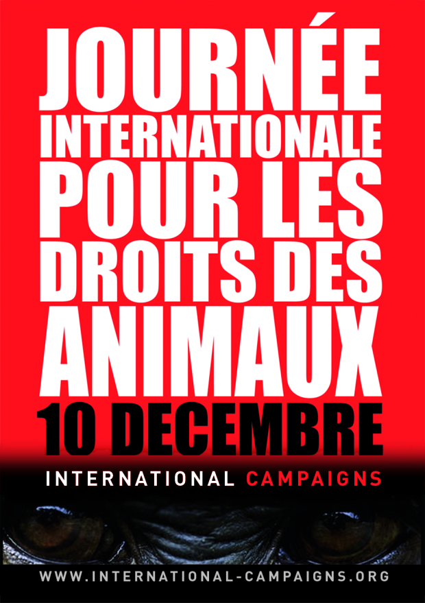 NANCY Journée Internationale pour les Droits des Animaux 2015