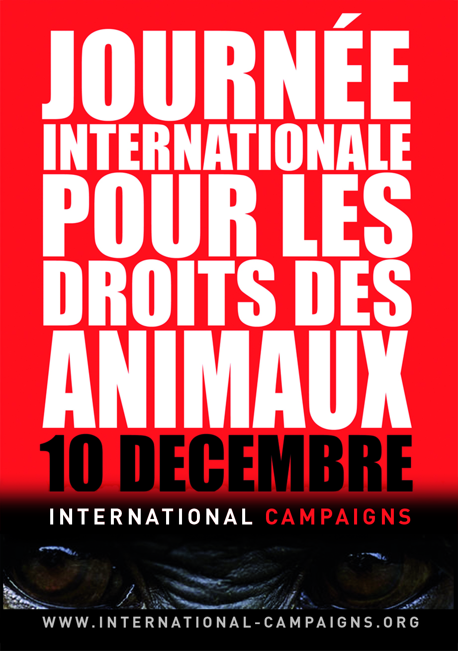Autocollants Journée Internationale Droits des Animaux