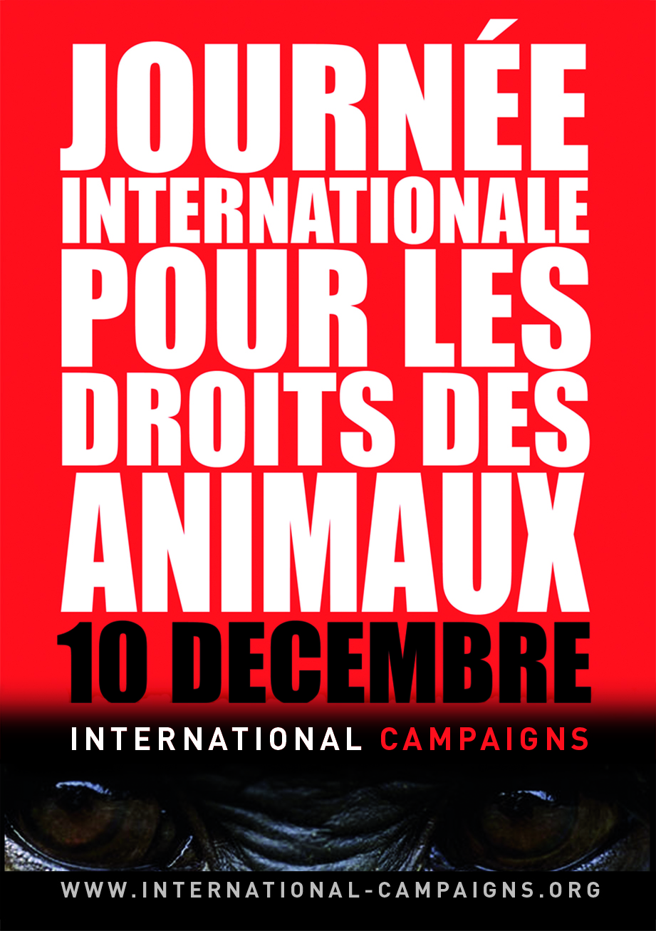 Affiche A3 Journée Internationale pour les Droits des Animaux (JPG)