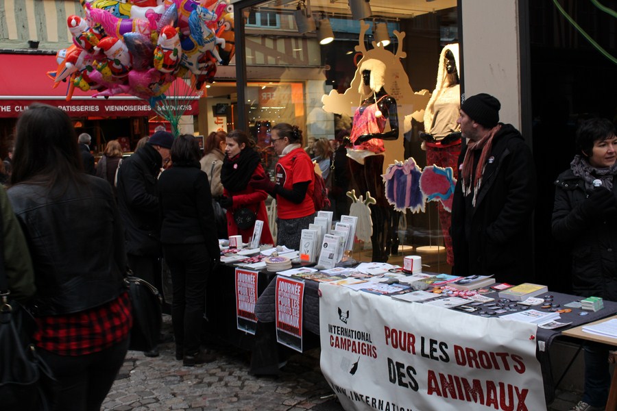 EVREUX – 24 janvier 2015 – Stand pour les droits des animaux