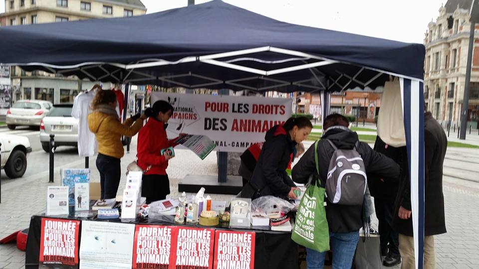 JIDA 2014 – VALENCIENNES – Pour les droits fondamentaux des animaux