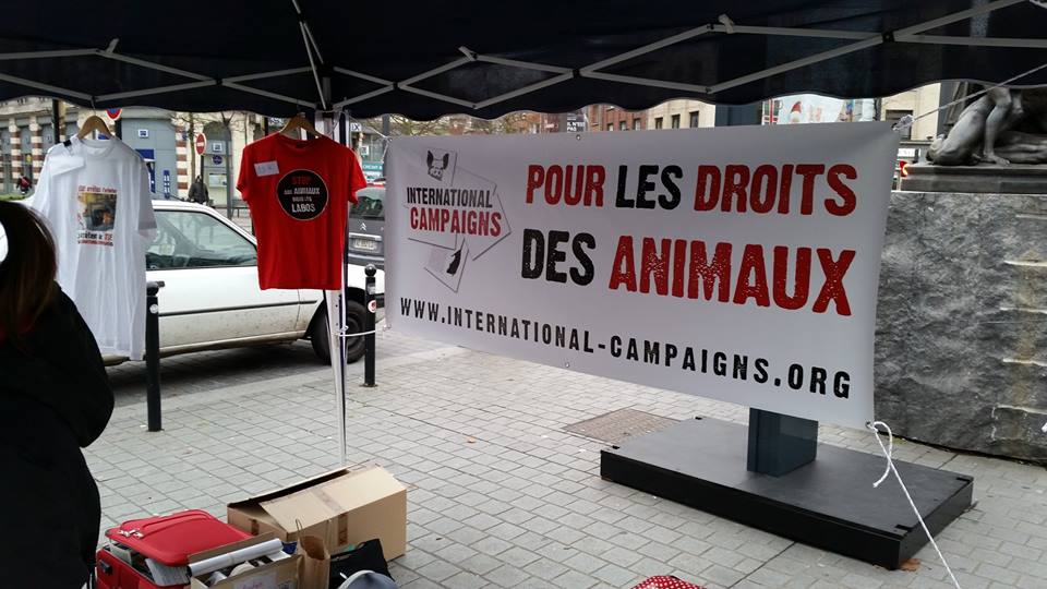 VALENCIENNES – 24 janvier 2015 – Stop aux animaux dans les labos