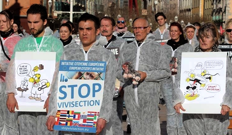 Le vent a soufflé fort contre la vivisection à Toulon