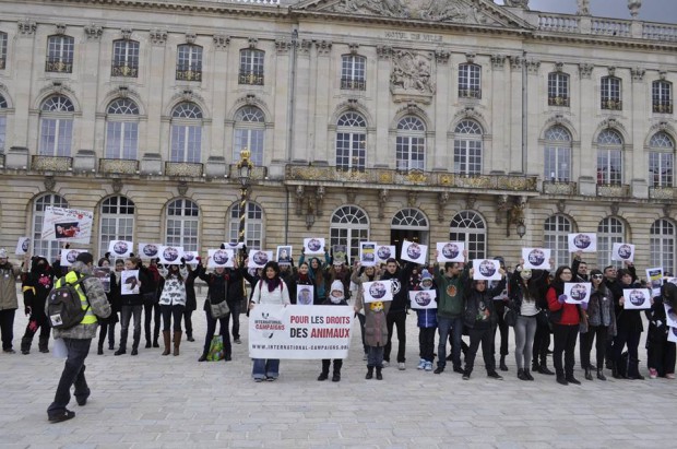 touche pas à ma peau nancy