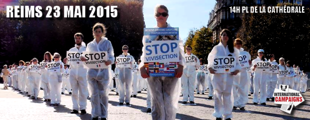 happening contre l'expérimentation animale reims 23 mai 2015