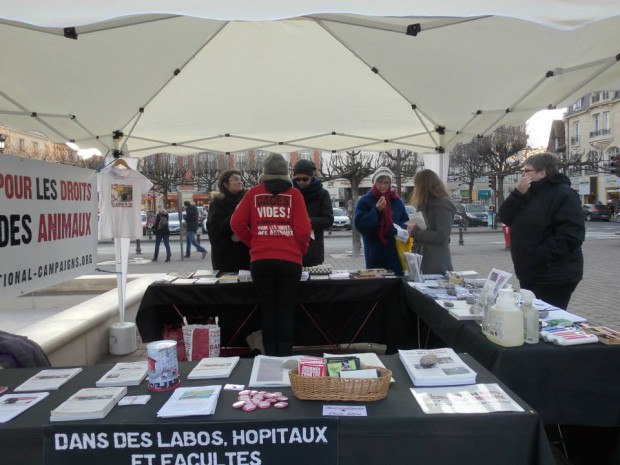 International Campaigns reims stop animaux labos