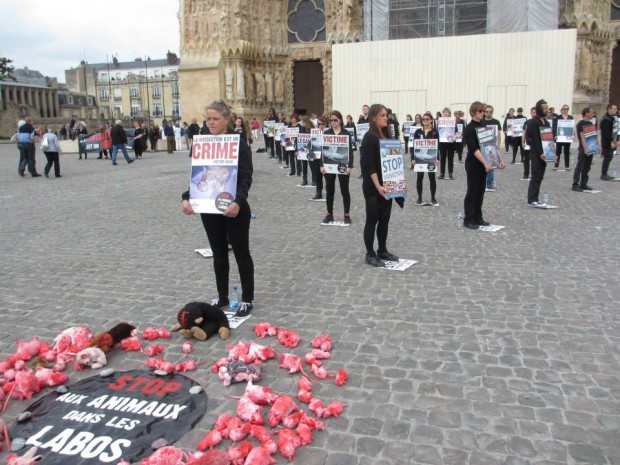 Opération Reims CONTRE la vivisection