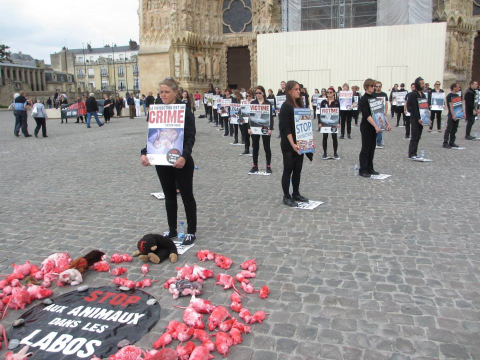 Opération Reims CONTRE la vivisection – 23 mai 2015