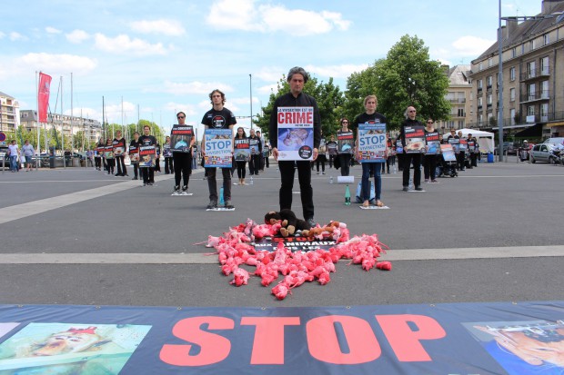 Opération "A Caen les méthodes substitutives ?" - 30 mai 2015