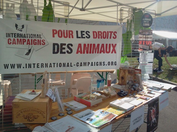 International Campaigns EELV 2015 