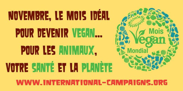 Mois Mondial Vegan Nancy