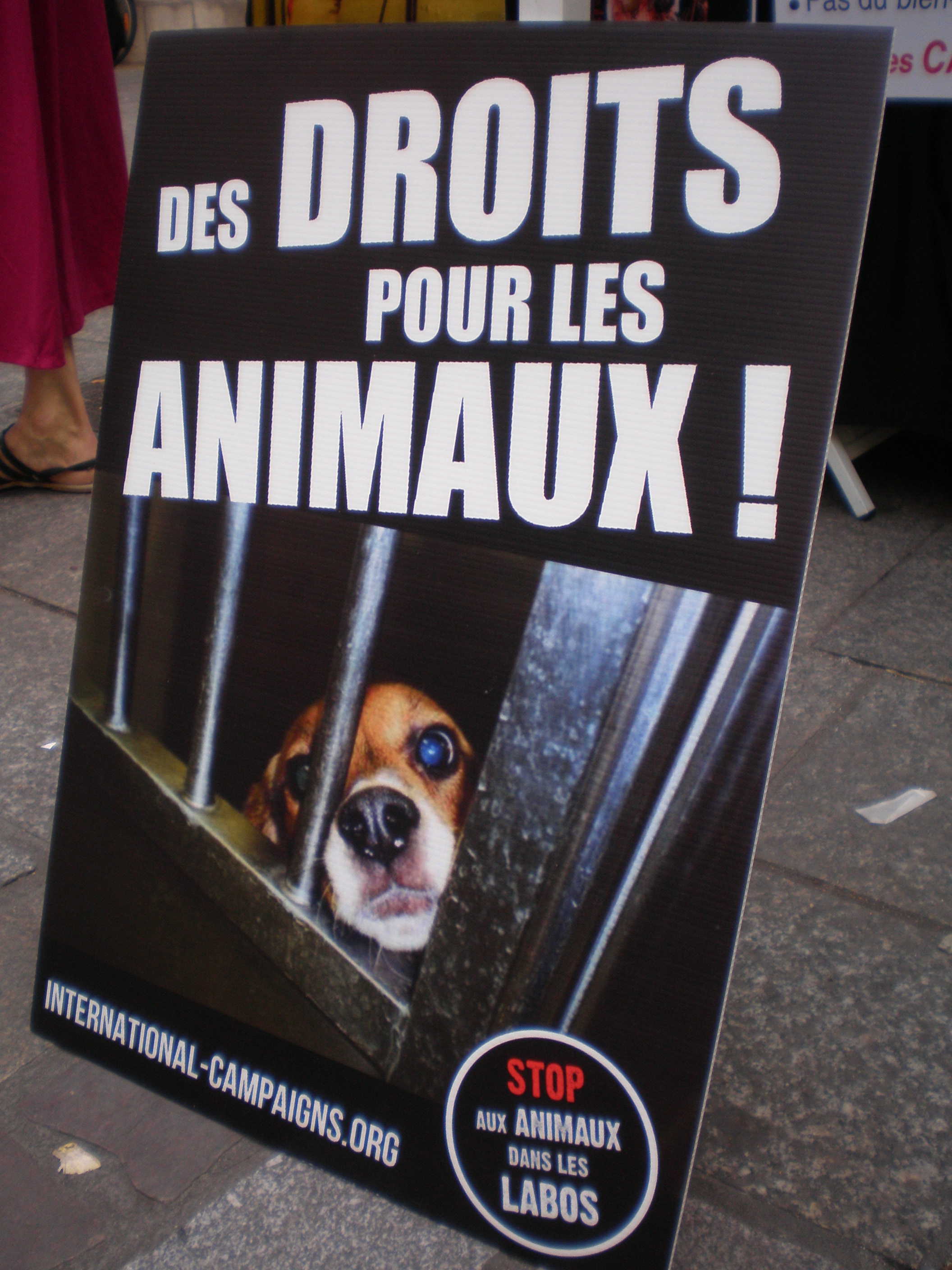 PARIS – Samedi 24 octobre – Droits des animaux