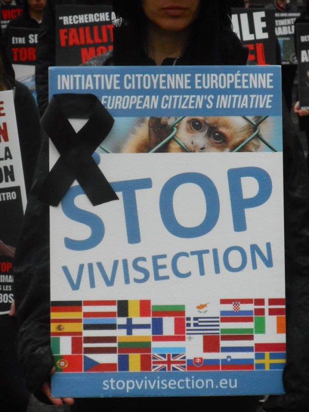 Happening Lyon octobre 2015en soutien à l'ICE Stop Vivisection rejetée
