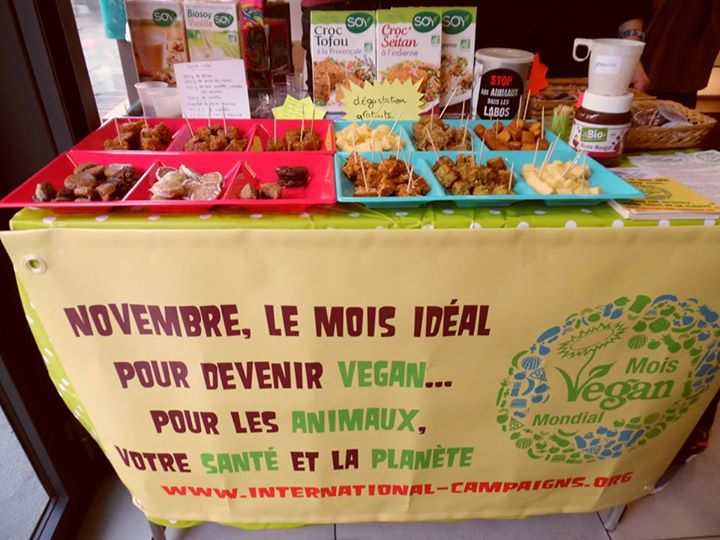 NANCY  – Mois Mondial Vegan chez Lush – Samedi 07 novembre