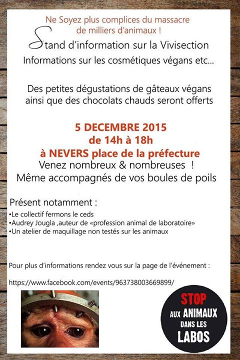 JIDA 2015 – NEVERS – Samedi 05 décembre