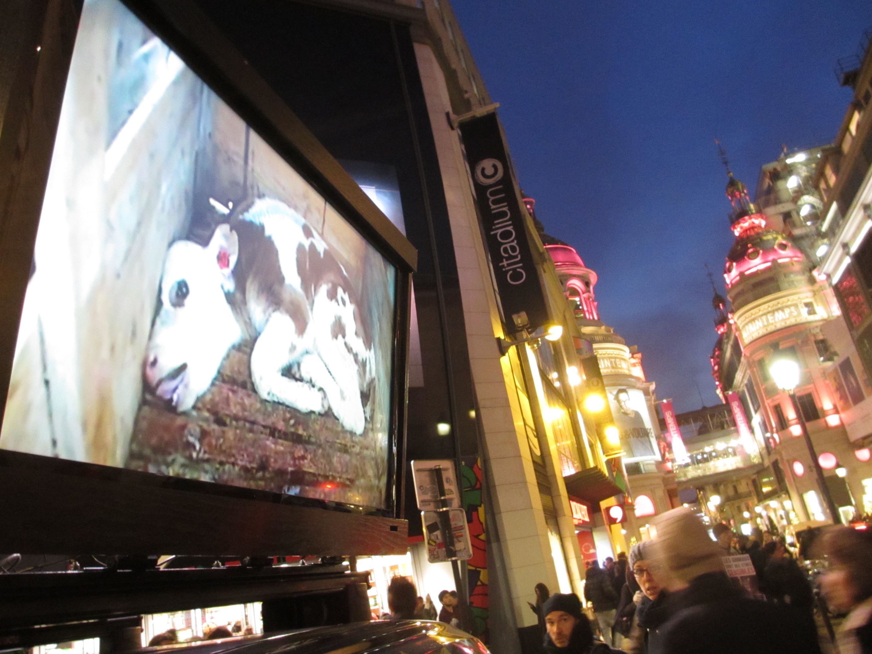 PARIS – Samedi 09 janvier 2016 – Action de vidéo-sensibilisation