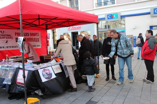 Le Havre - Journée Intenationale pour les Droits des Animaux 2015