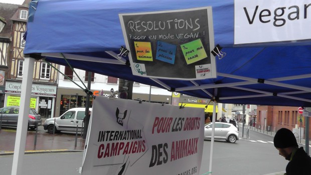 Evreux bonnes résolutions vegan