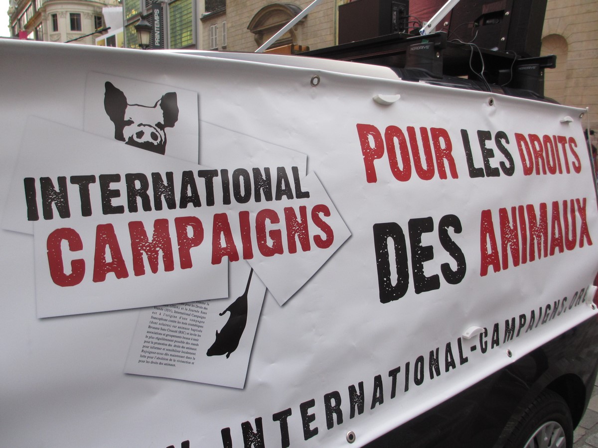 International Campaigns – Rétrospective 2015