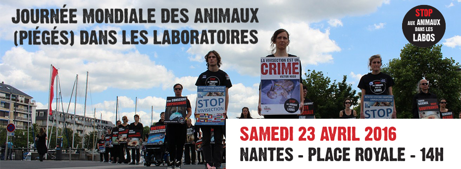 Happening avril nantes contre la recherche animale