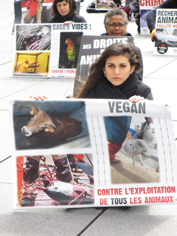 Action de vidéo-sensibilisation aux droits des animaux et au véganisme par International Campaigns Île-de-France samedi 16 mai 2016