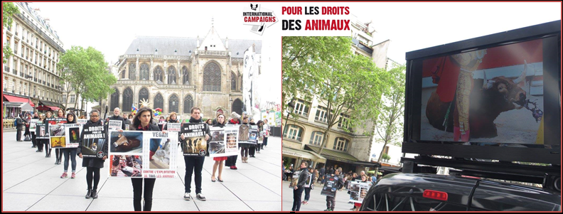 PARIS – Samedi 09 juillet – Vidéo-sensibilisation et happening – International Campaigns IDF