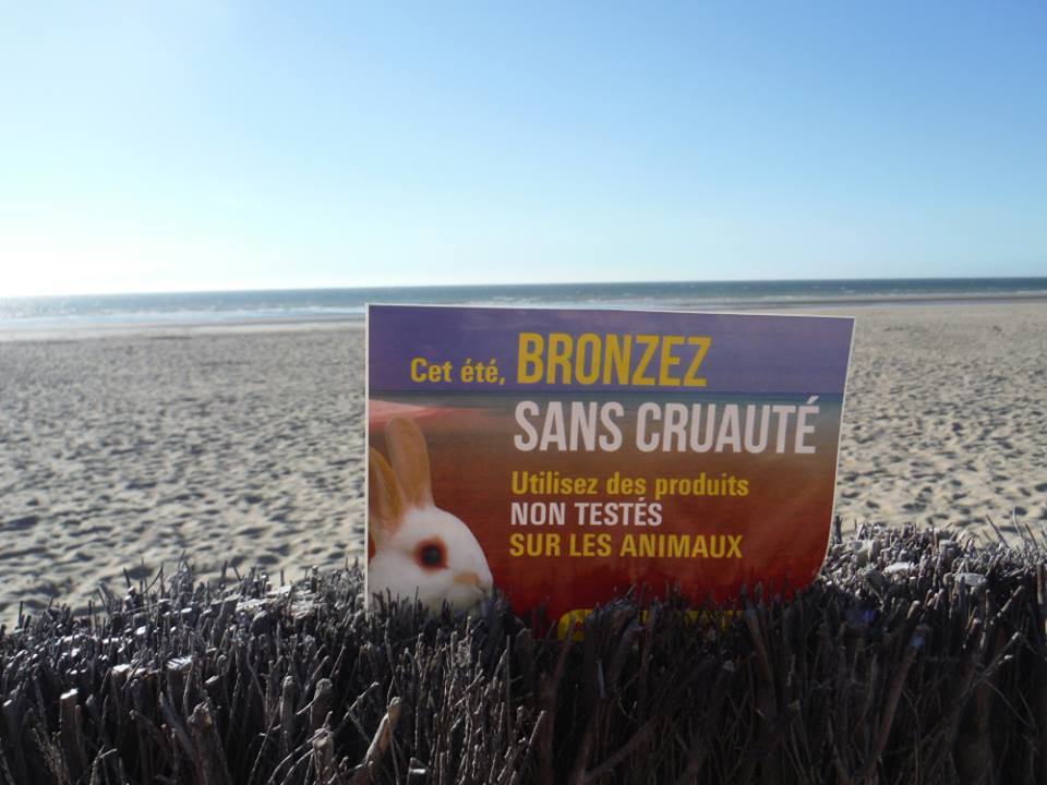 LE HAVRE – Bronzez Sans Cruauté – 02 juillet 2016