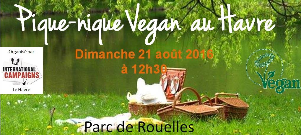 Pique-nique vegan le havre 21.08.16