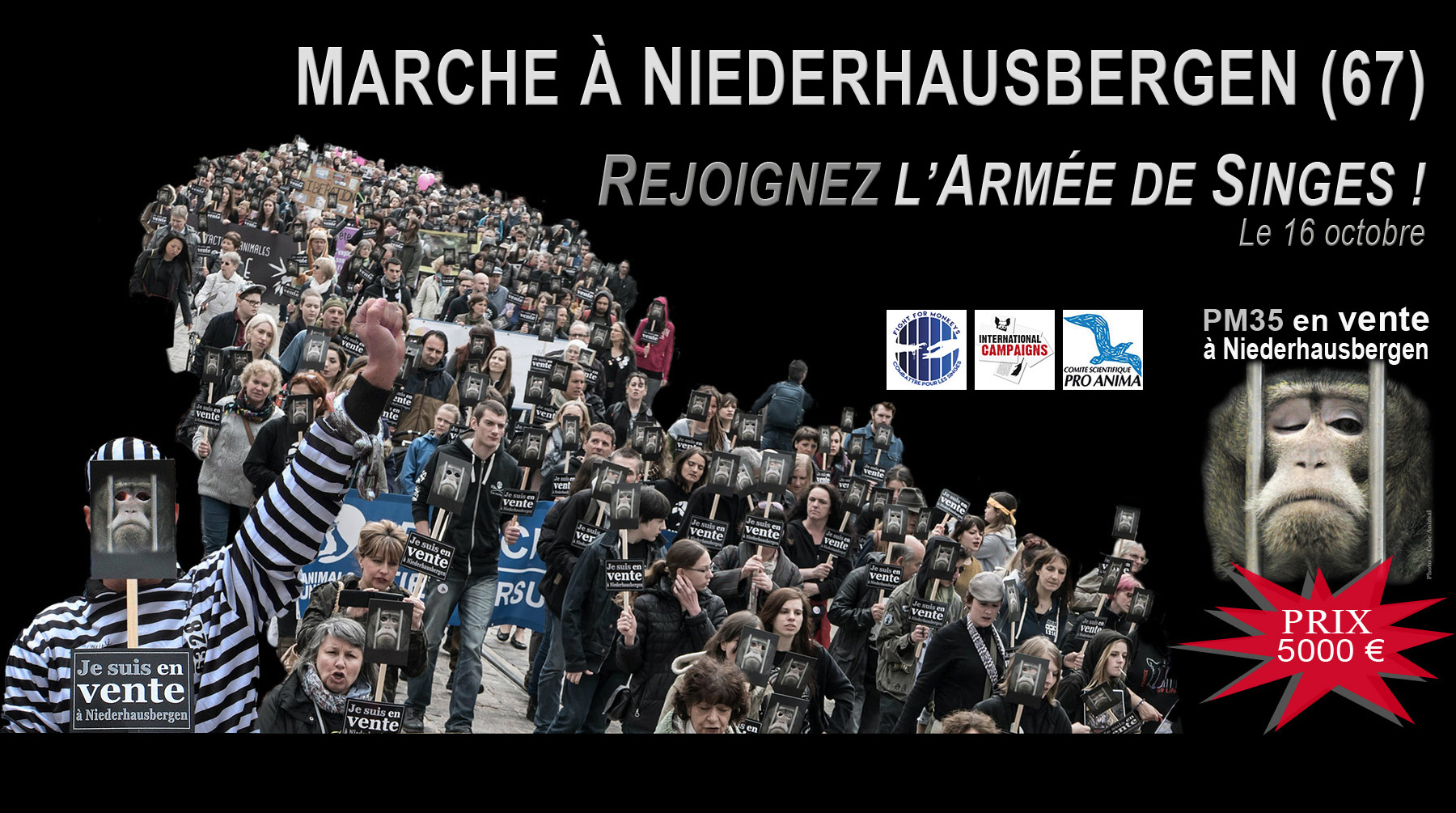 NIEDERHAUSBERGEN – Dimanche 16 octobre – Marche contre le Centre de Primatologie