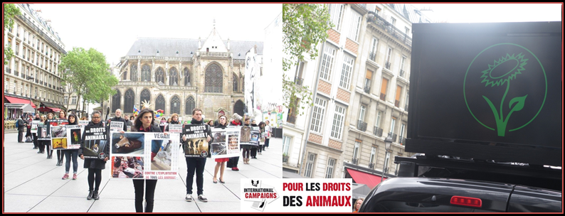 PARIS – Samedi 22 octobre 2016 – Vidéo-sensibilisation et happening provegan