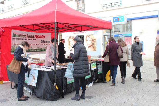 Fée BiGlo = Fête de la bienveillance globale - International Campaigns Le Havre