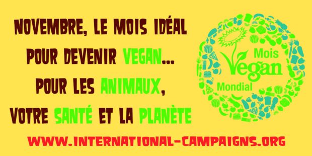 Perpignan - Mois Mondial Vegan 2016