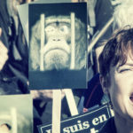 NIEDERHAUSBERGEN – Marche contre le business des primates pour la vivisection – Dimanche 16 octobre 2016