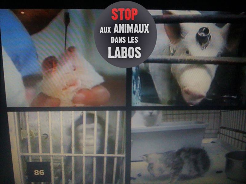 Vandœuvre-lès-Nancy – 23 avril 2017 -Journée Mondiale des Animaux dans les Laboratoires
