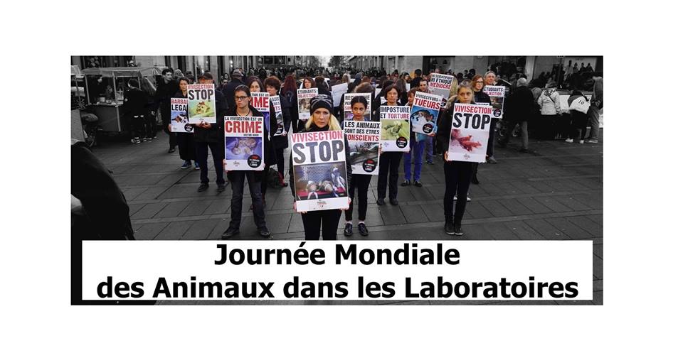 TOULOUSE – Samedi 22 avril – Journée Mondiale des Animaux dans les laboratoires