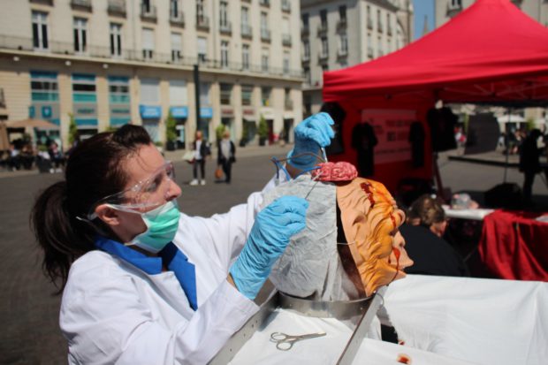 NANTES - Journée Mondiale des Animaux dans les laboratoires - 22 avril 2017