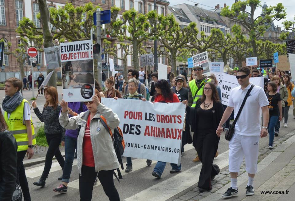 STRASBOURG – Samedi 20 mai 2017 – Marche contre la vivisection