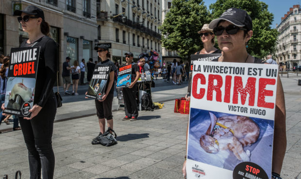 LYON - Samedi 27 mai 2017 - STOP à la VIVISECTION à LYON !