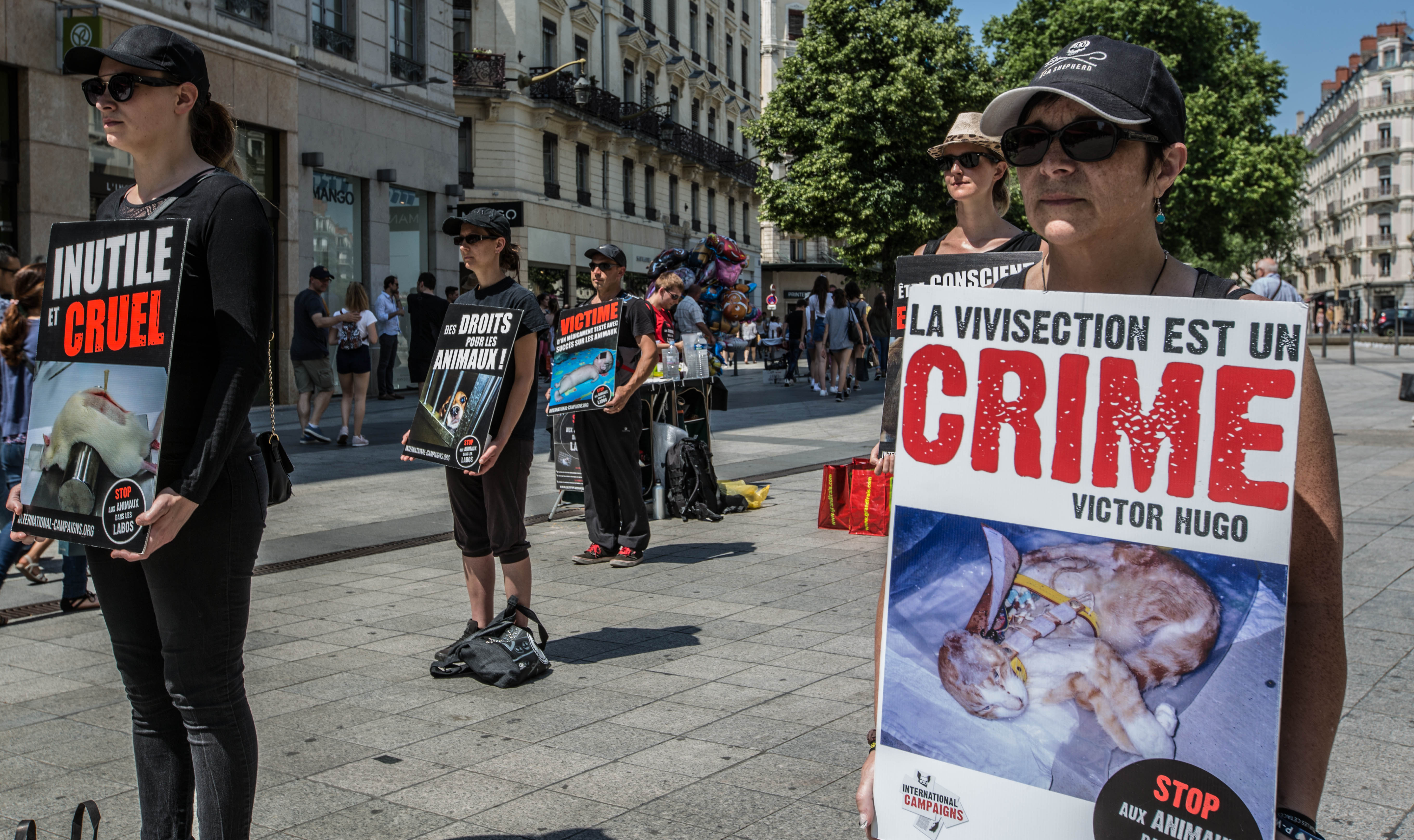 LYON – Samedi 27 mai 2017 – STOP à la VIVISECTION à LYON !