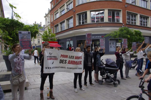 Amiens - Chevelu - Justice pour TOUS les animaux