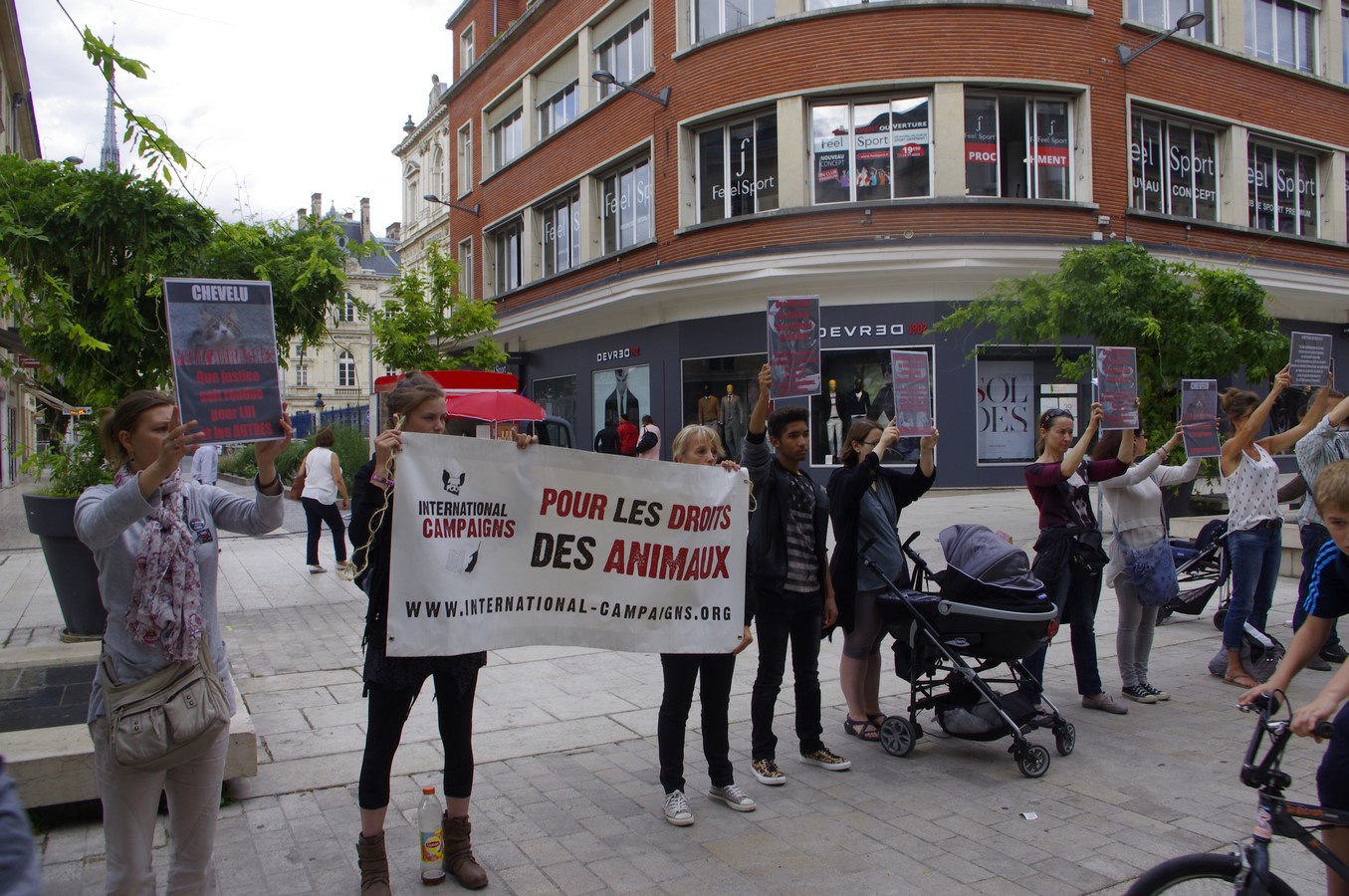 AMIENS – Samedi 22 juillet – Justice pour TOUS les animaux