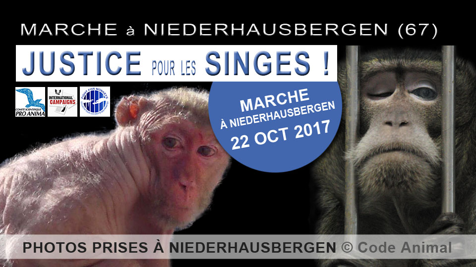 NIEDERHAUSBERGEN – Marche pour les primates victimes de la vivisection – 22 octobre 2017