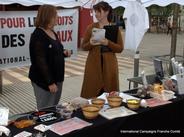 Un Été Sans Cruauté - Belfort