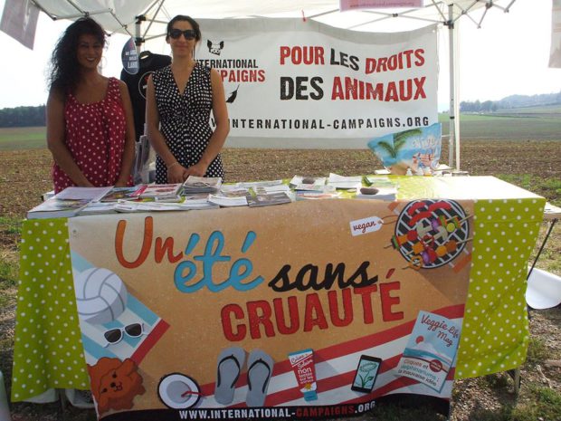 Un été sans cruauté - international campaigns grand est