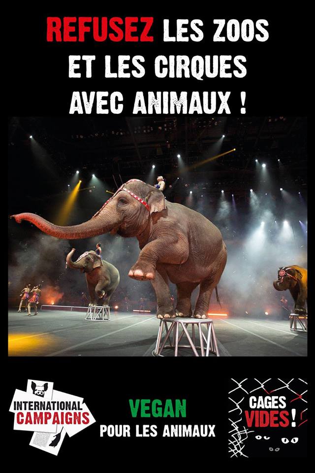 LE HAVRE – Contre les cirques avec animaux – Samedi 23 septembre 2017